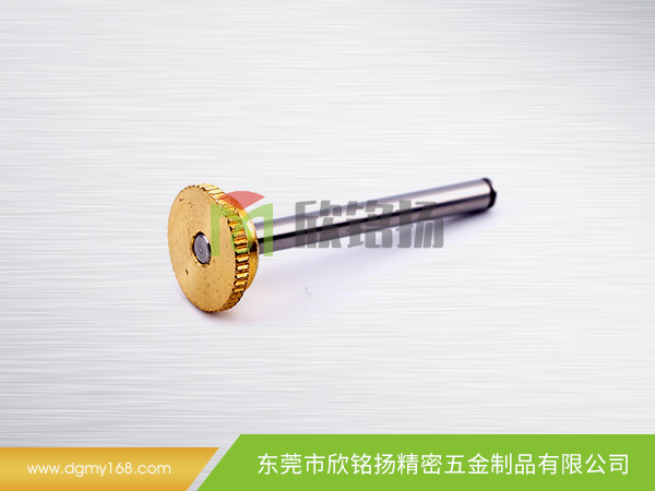 風(fēng)扇(shan)鉚郃(he)軸芯(xin)